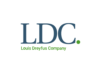 LCD Logo